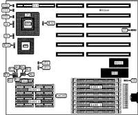 PEACOCK AG &nbsp; EDITION/DLC 1 80486